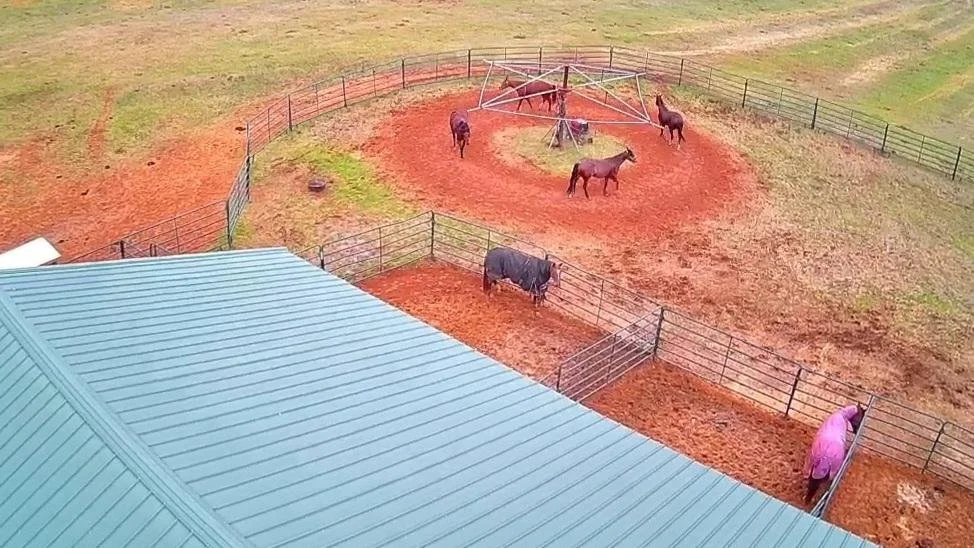 aerial view of horses in fenced areas on a farm with a building roof in the foreground