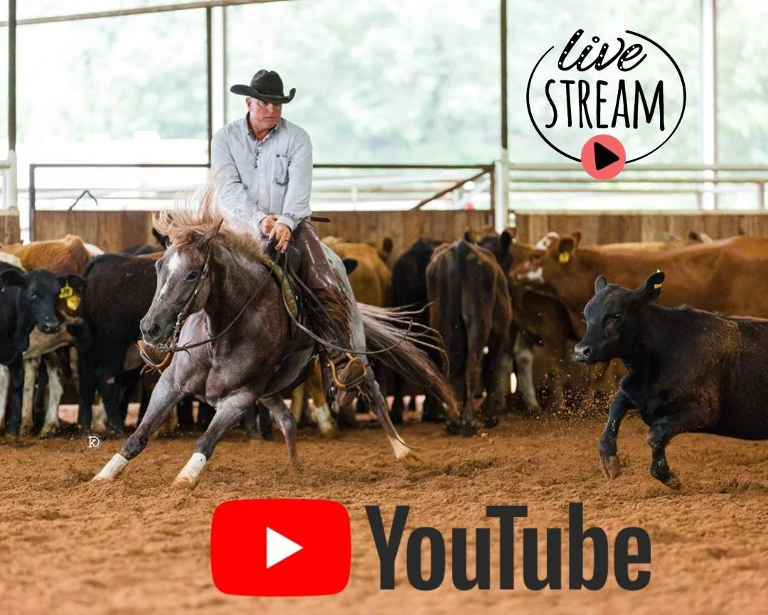 A cowboy riding a cutting horse in an indoor arena with cattle in the background. There is a 'live stream' icon with a play button and the YouTube logo overlaid on the image.