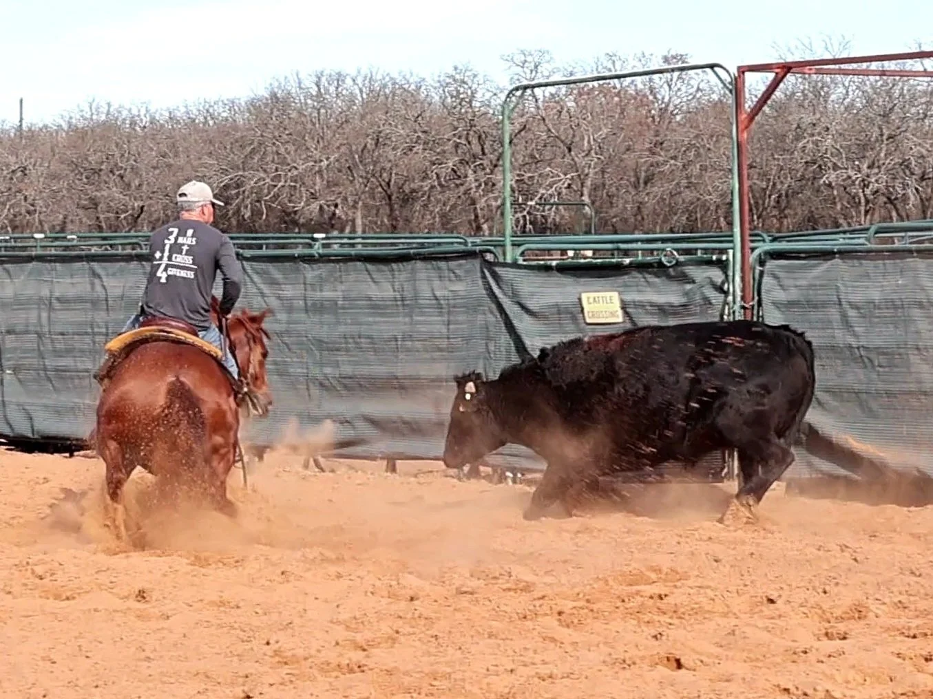 VideoCapture_20260108-203056[1].jpg