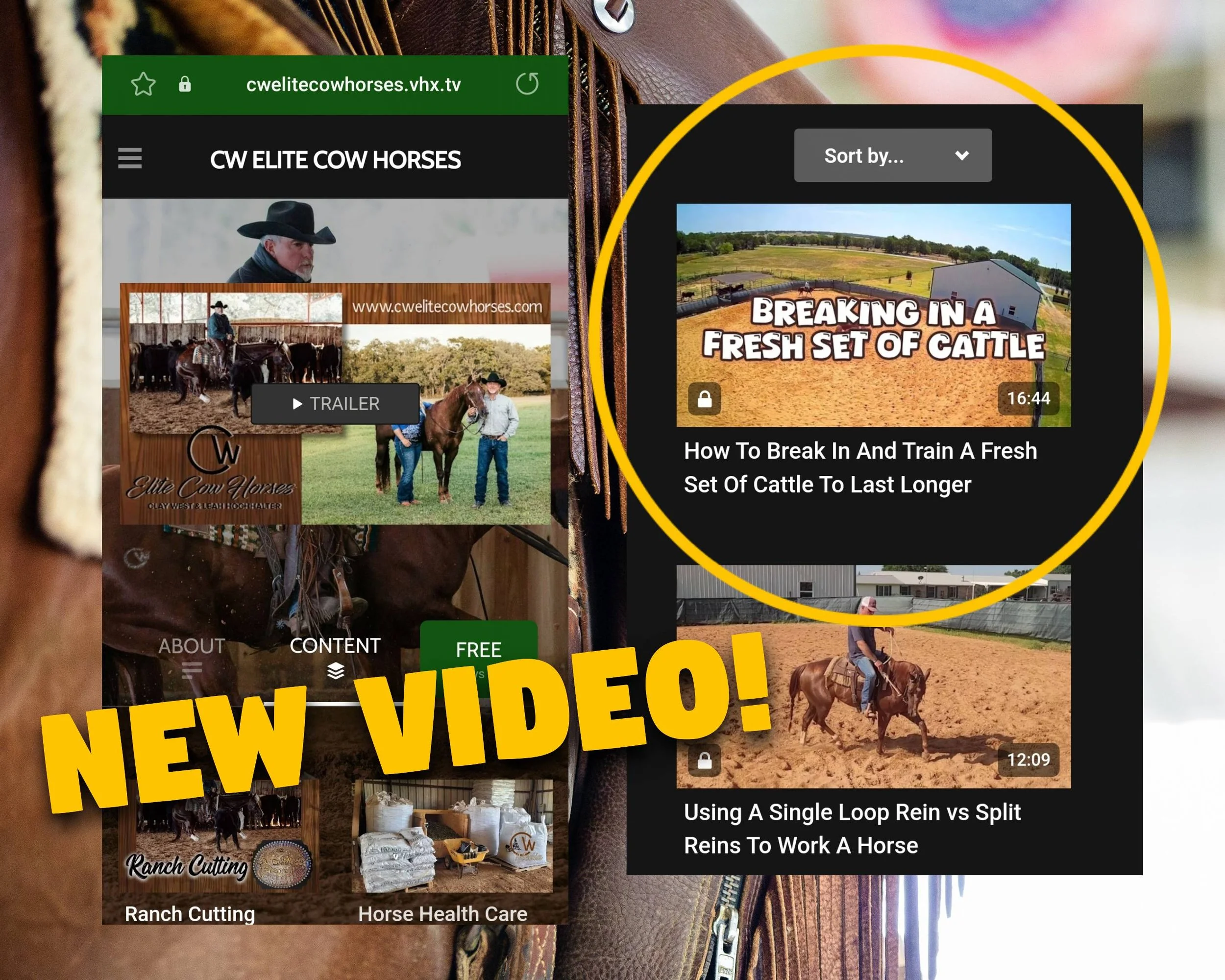 Screenshot of a website about cow horses featuring a video thumbnail titled "Breaking in a fresh set of cattle" and a second video titled "Using a single loop rein versus split reins to work a horse." The website has a green header, a black menu, and a yellow overlay text that says "New Video!".