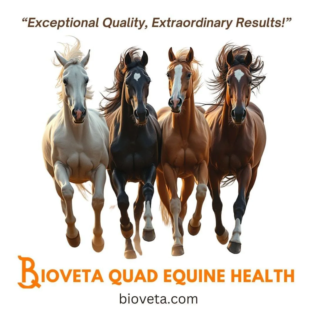 Four horses running toward the camera, with a quote at the top and the text 'Bioveta Quad Equine Health' at the bottom, along with a website address bioveta.com.