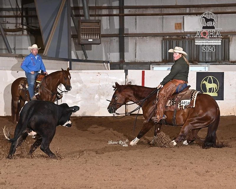 A cow and two cowboys riding horses in an indoor arena. One cowboy in blue is on a brown horse, while the other in black and tan is on a darker brown horse. The cowboy in black is kicking up dirt as the horse bends down to lunge at the cow. The arena has metal walls and banners with logos, including one that reads 'AQHA 2024', indicating an American Quarter Horse Association event.