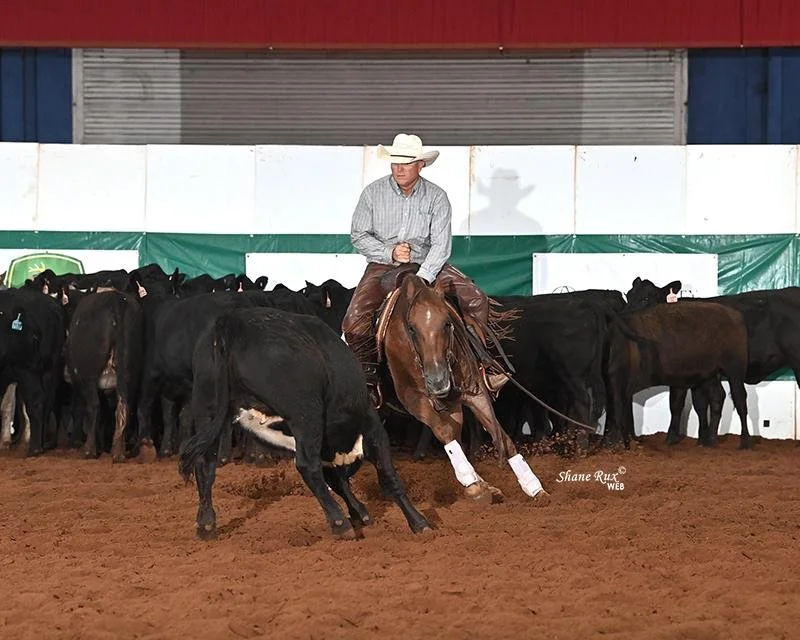 A cowboy wearing a cowboy hat, plaid shirt, and chaps rides a red roan cutting horse in an indoor arena. The arena has a dirt floor and a green and white barrier behind the cowboy, with cattle gathered in the background.