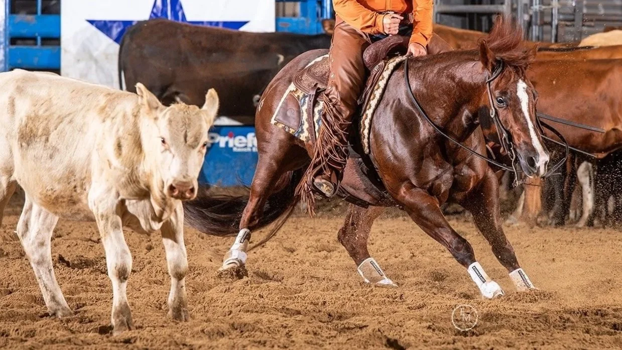 A person riding a horse at a cutting horse competition.