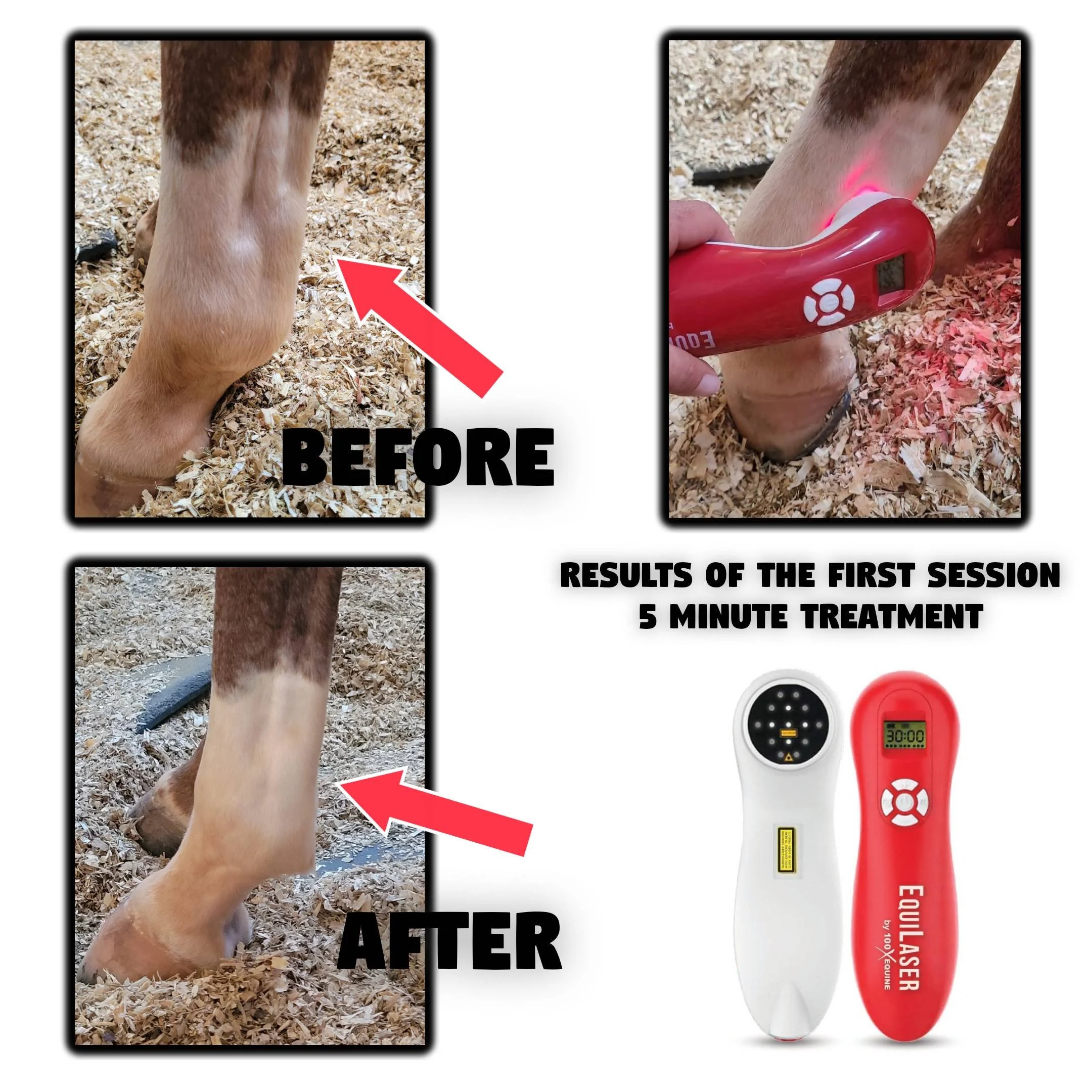 Photo collage showing a horse's leg before and after laser treatment for swelling or injury. The before image shows a swollen leg, and the after image shows the leg reduced in swelling. There is also an image of a handheld laser device and a digital 