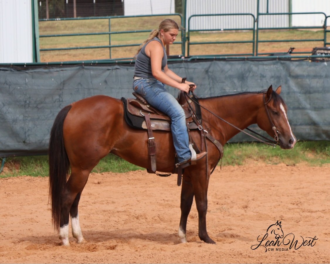 IMG_1676[1].JPG
