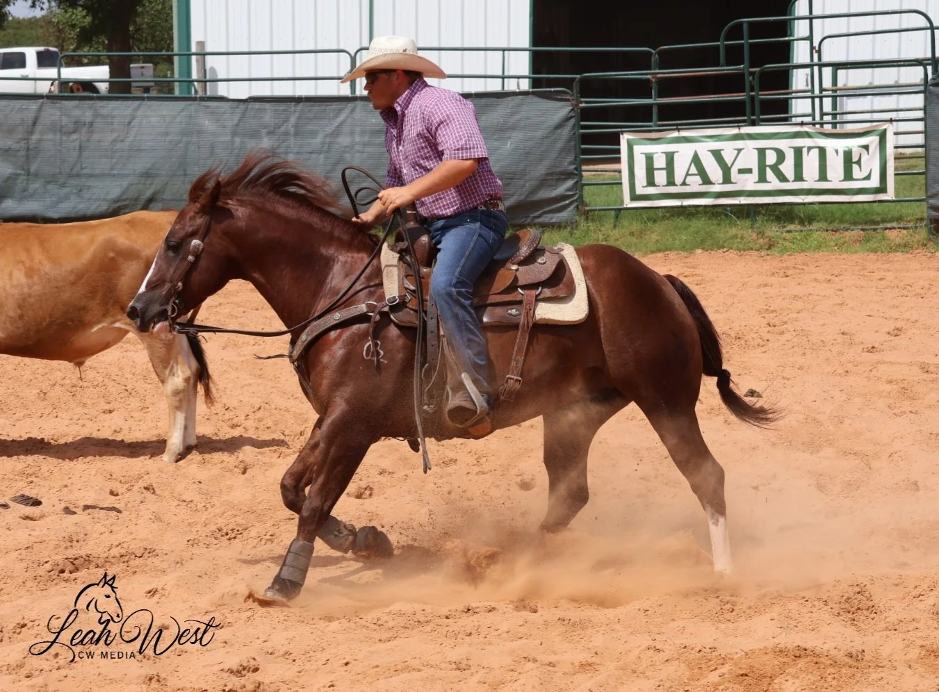 IMG_1742[1].JPG