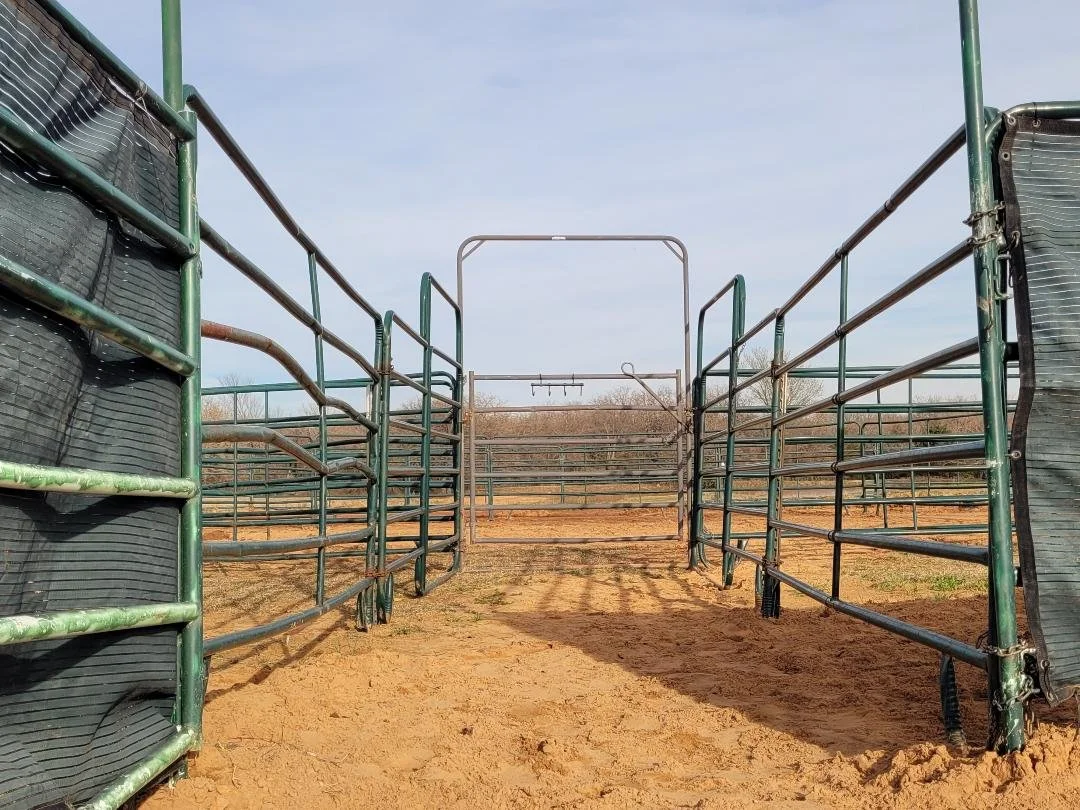 An empty livestock pen with metal railings on both sides and a gate in the center, set on dry, dusty ground under a clear sky.
