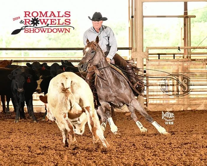 Cowboy riding a cutting horse in an indoor arena during a cutting horse competition, with cattle in the background and a banner that reads 'Romals & Rowels Showdown 2024'.