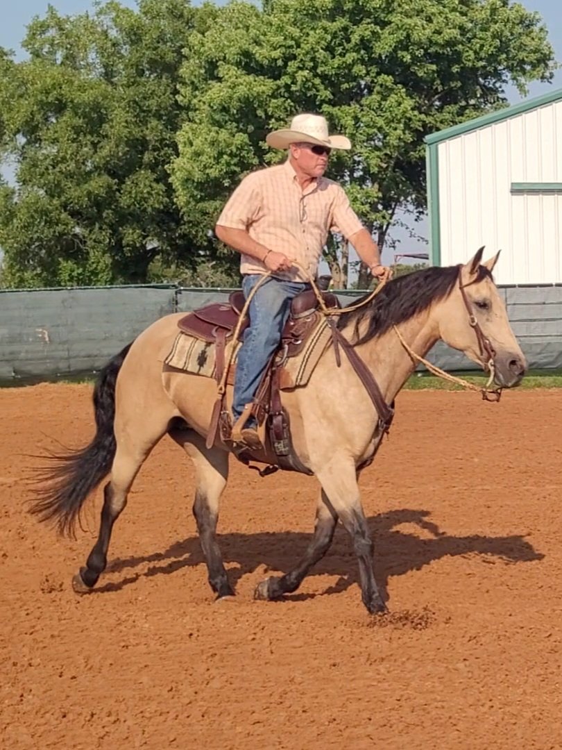 A man wearing a cowboy hat and sunglasses riding a buckskin horse on a dirt arena with green trees and a building in the background.