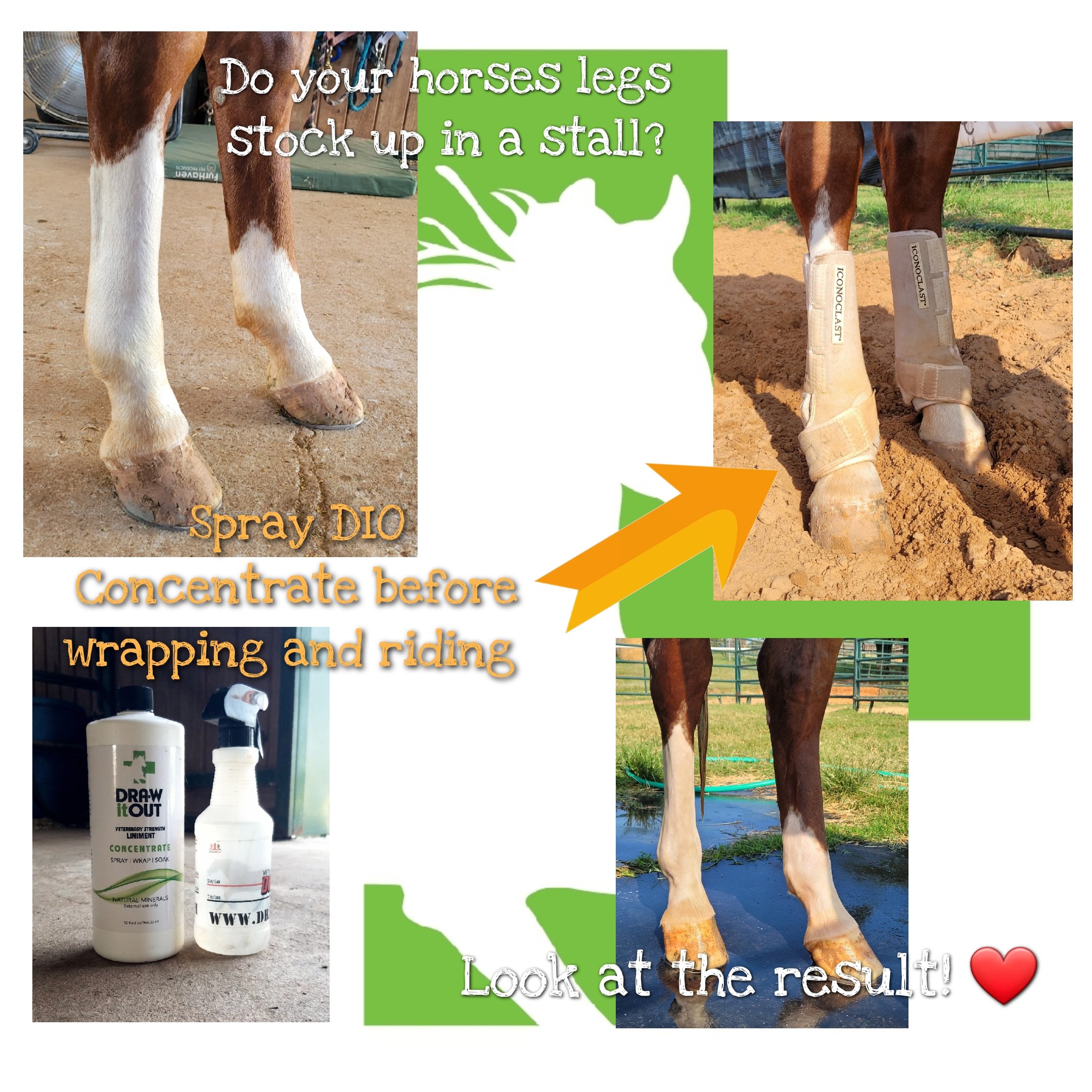 A collage showing before and after images of a horse's legs. The top left shows horse legs covered in dirt, with the text 'Spray DIO.' The top right shows the same legs cleaned and wrapped with protective bandages. The bottom right shows the legs aft