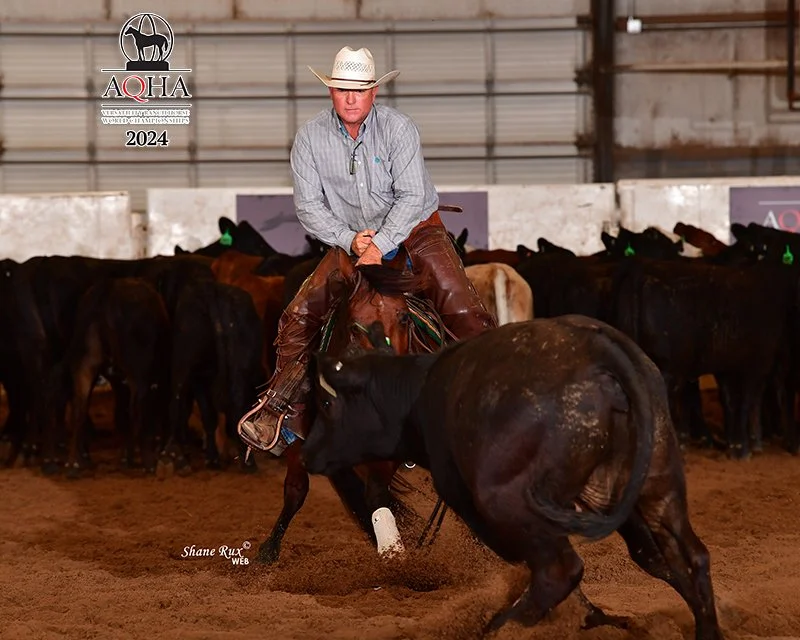 A cowboy riding a cutting horse with a black cow in an indoor arena with other cows in the background.