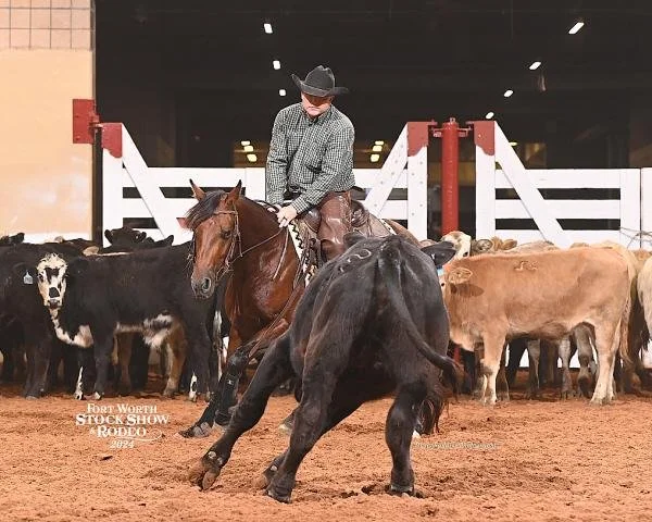 A cowboy on horseback cutting cattle in an indoor arena during a stock show.