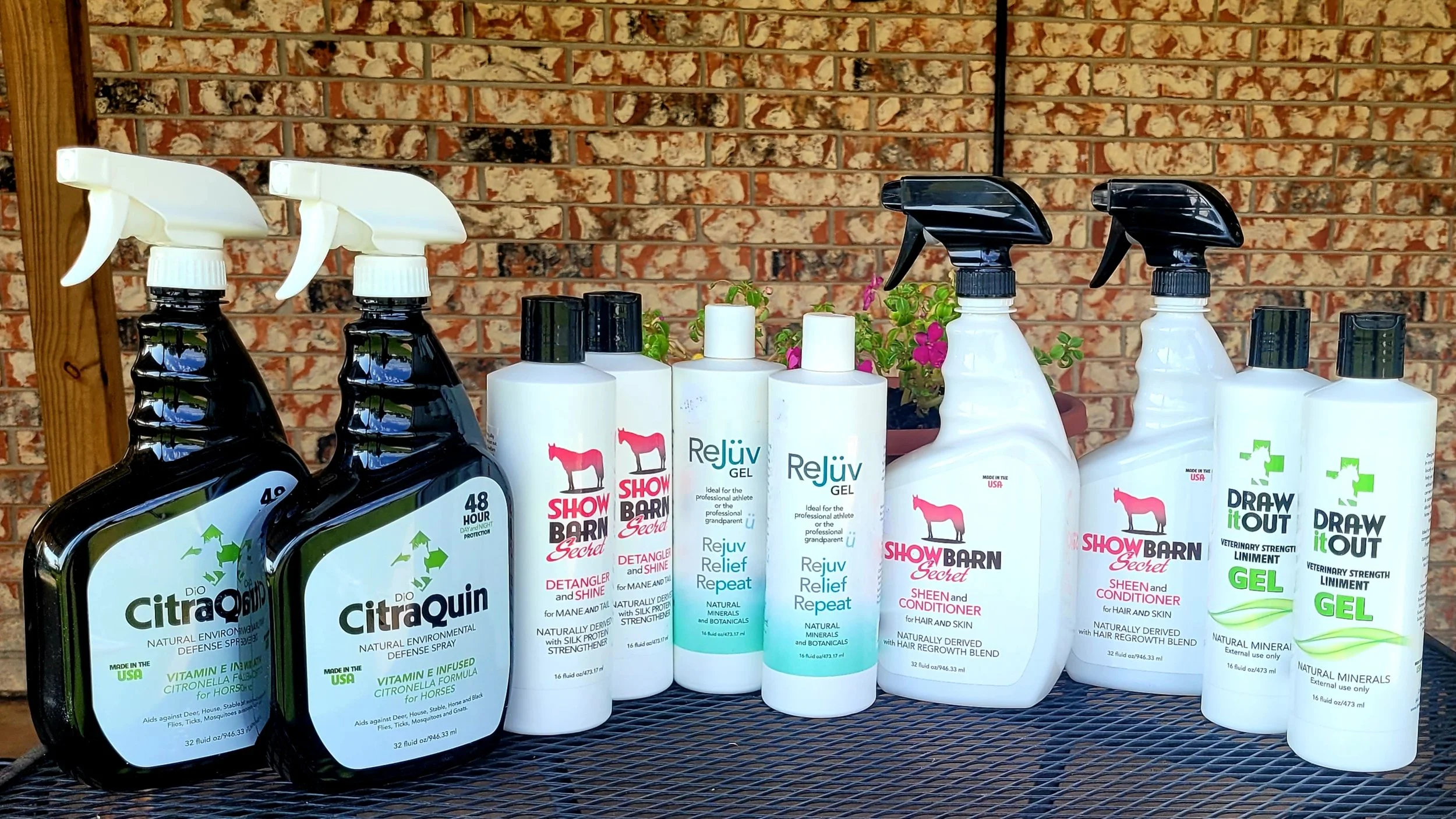 Four bottles of Diö Citroquin, three bottles of Show Barn Secret Detangler and Shine, one bottle of Rejuv Gel, one bottle of Show Barn Secret Sheen and Conditioner, and two bottles of Draw It Out Gel on a black metal surface with a brick wall backgro