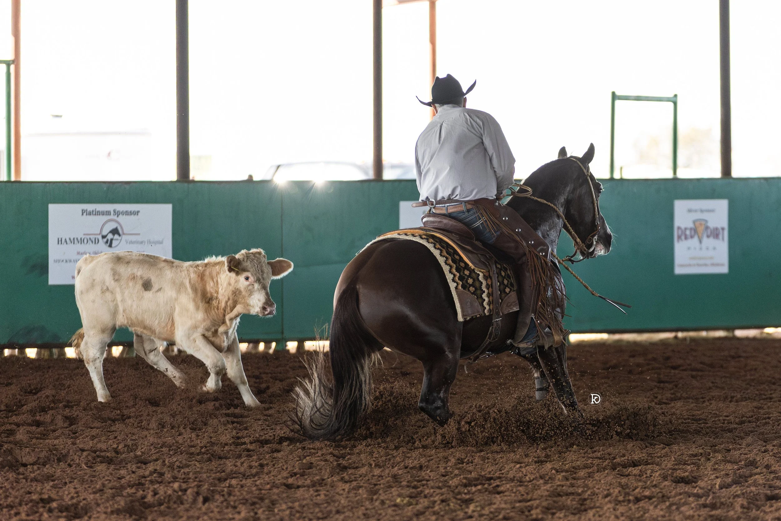 A cowboy on a liver chestnut gelding, boxing a cow at the end of the arena.