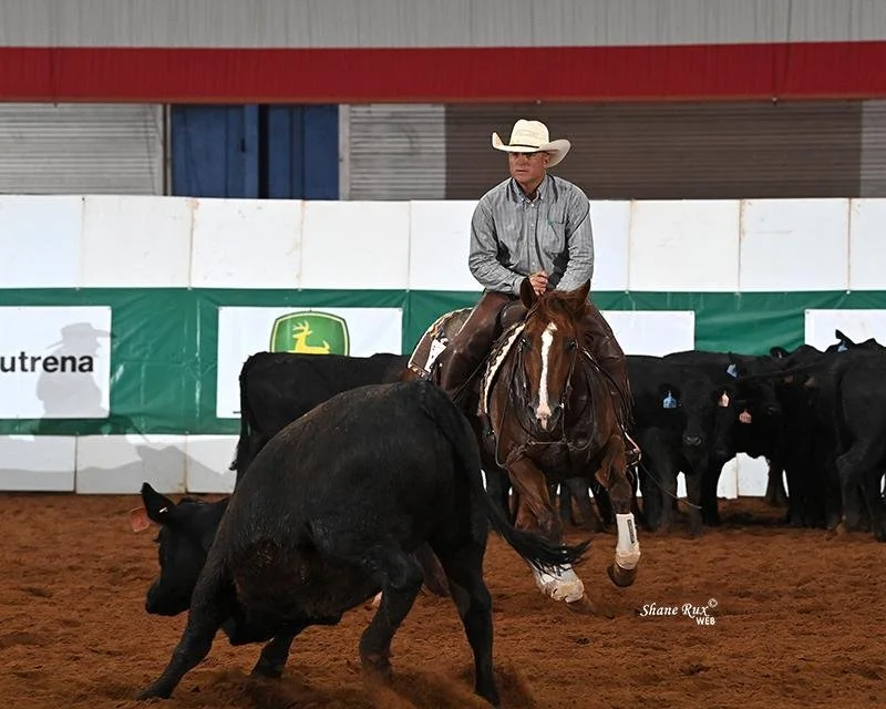 A cowboy in a white hat riding a chestnut and white horse while cutting black cattle inside an indoor arena with red and white walls and advertising banners.