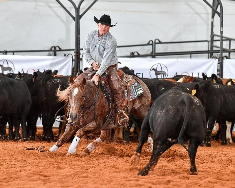 A cowboy wearing a black hat and gray shirt rides a cutting horse at the American Quarter Horse World Show, surrounded by black cattle and a white barrier banner.