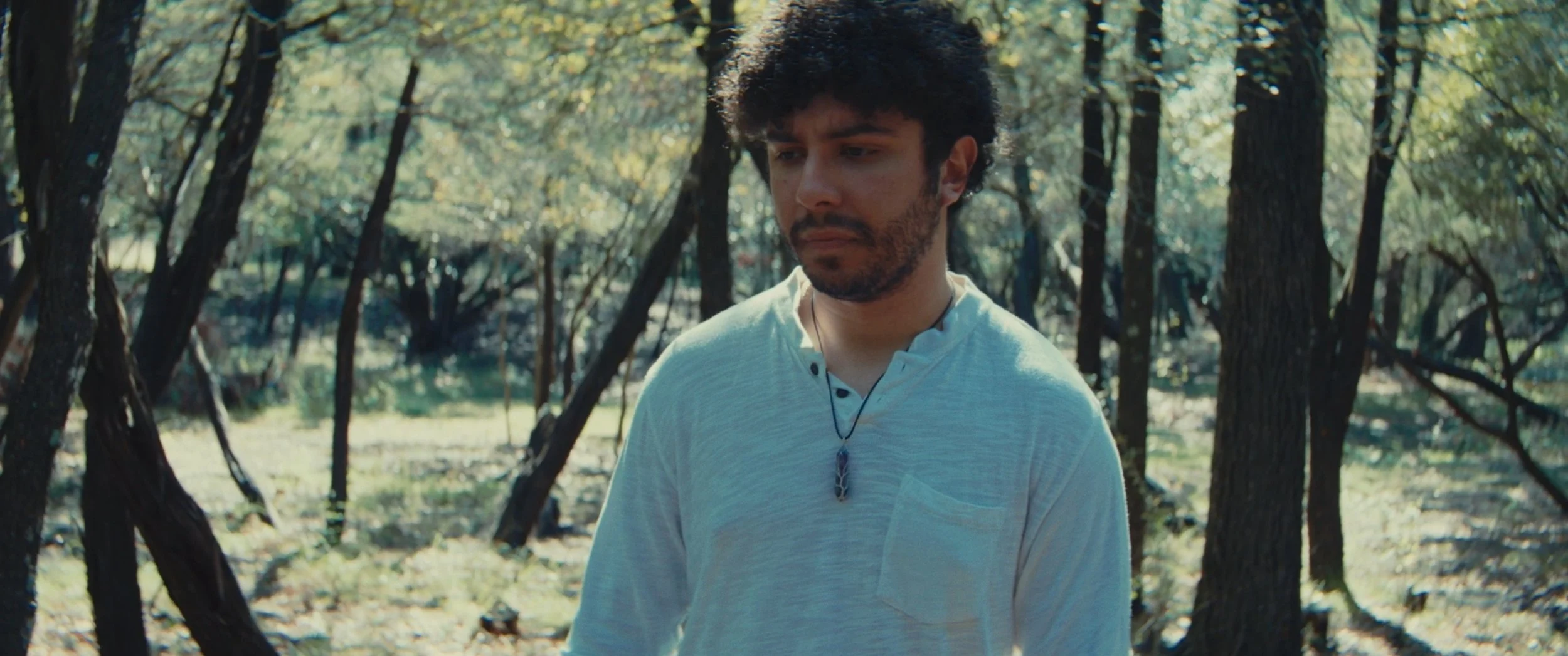 Still 2026-01-12 032733_1.43.2.jpg