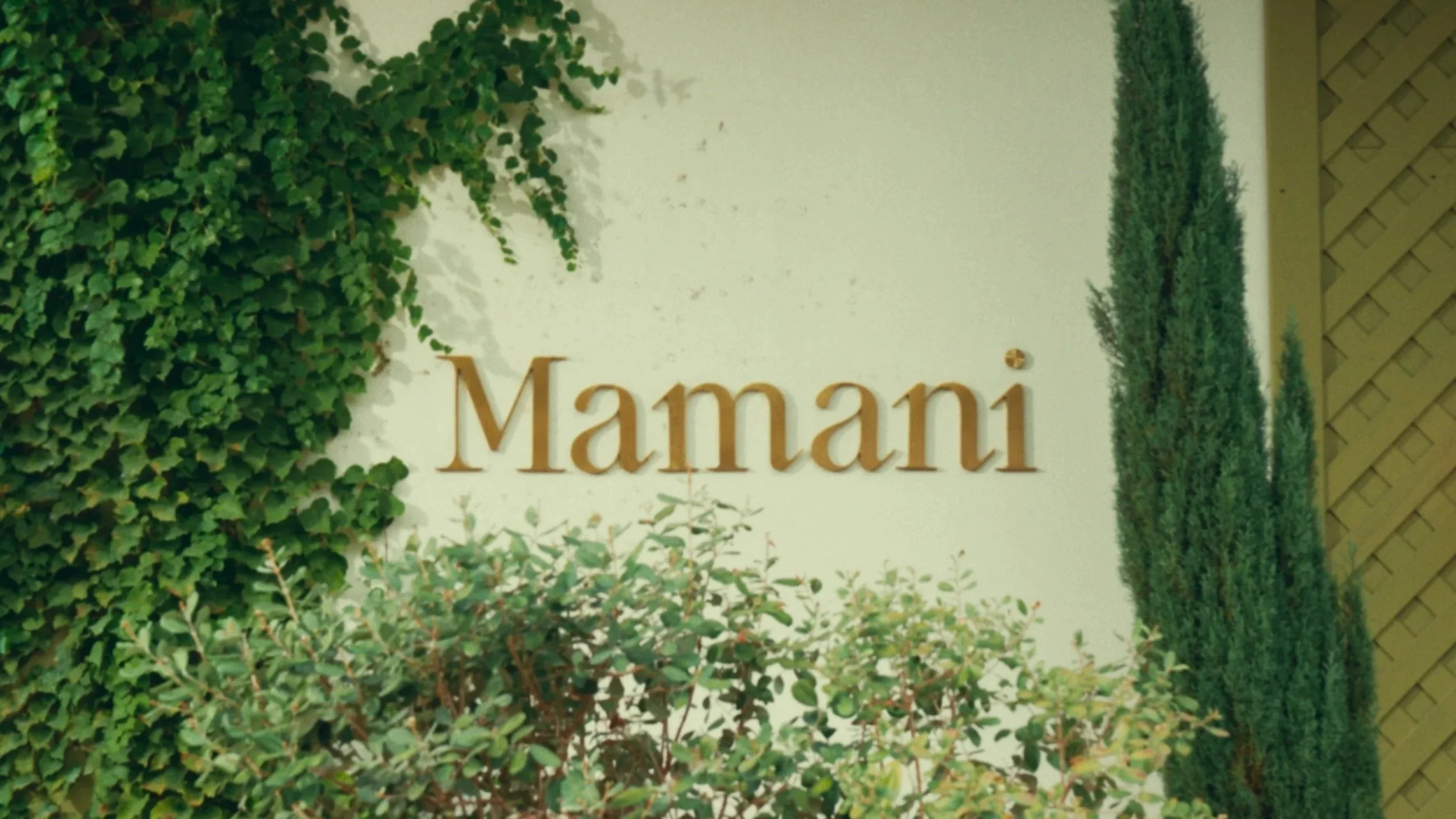 Mamani