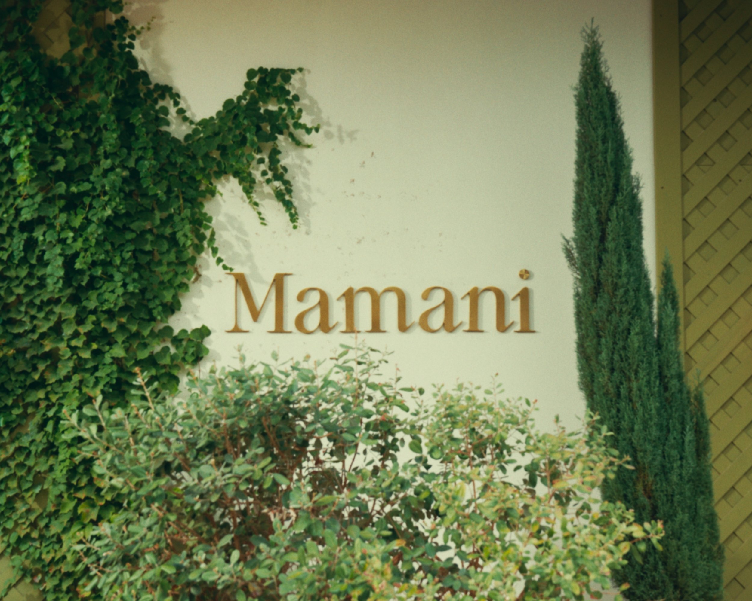 Mamani