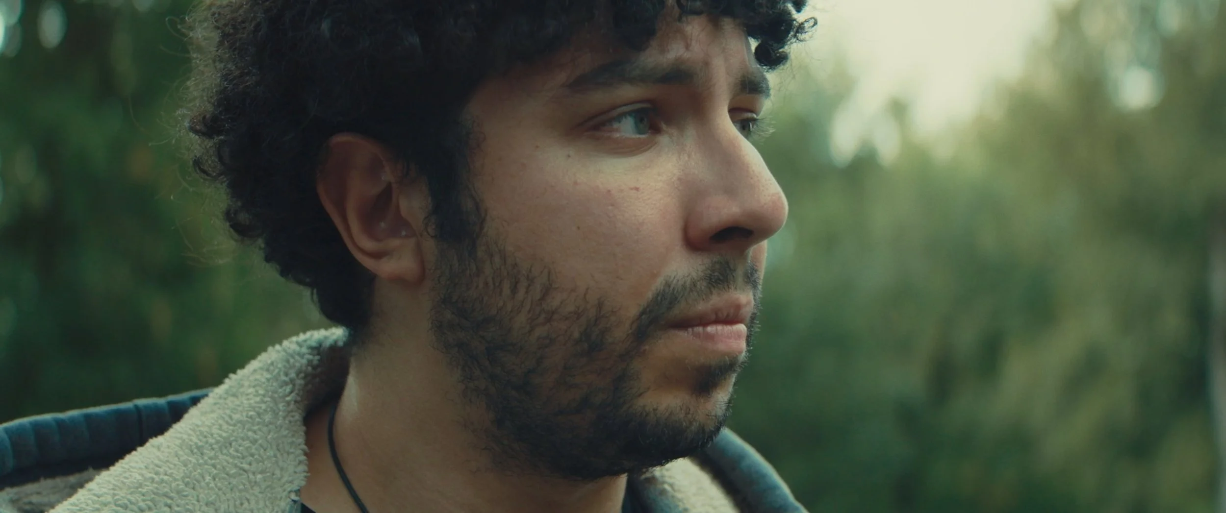 Still 2026-01-12 032733_1.65.3.jpg