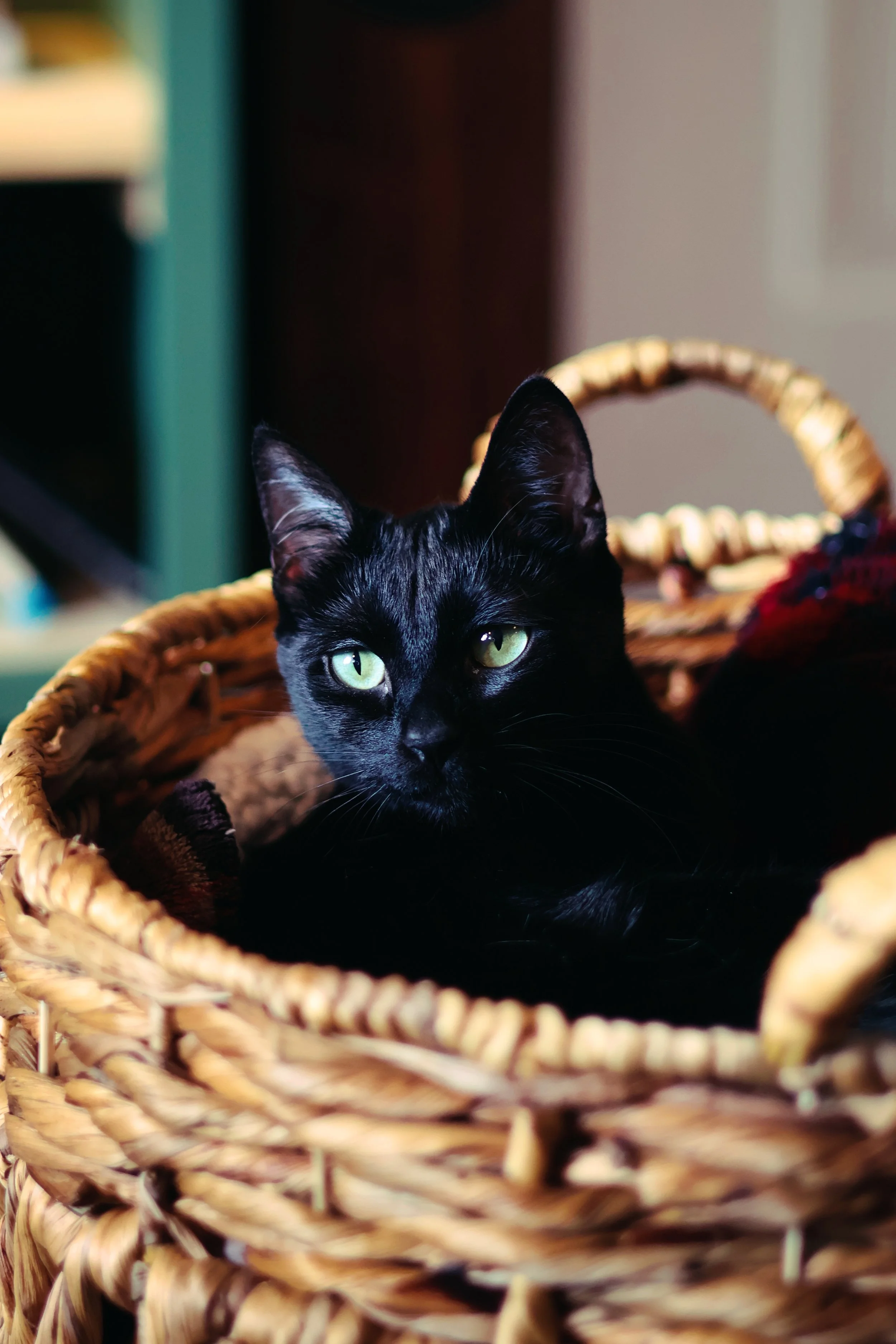 A black cat with green eyes sitting inside a woven wicker basket.