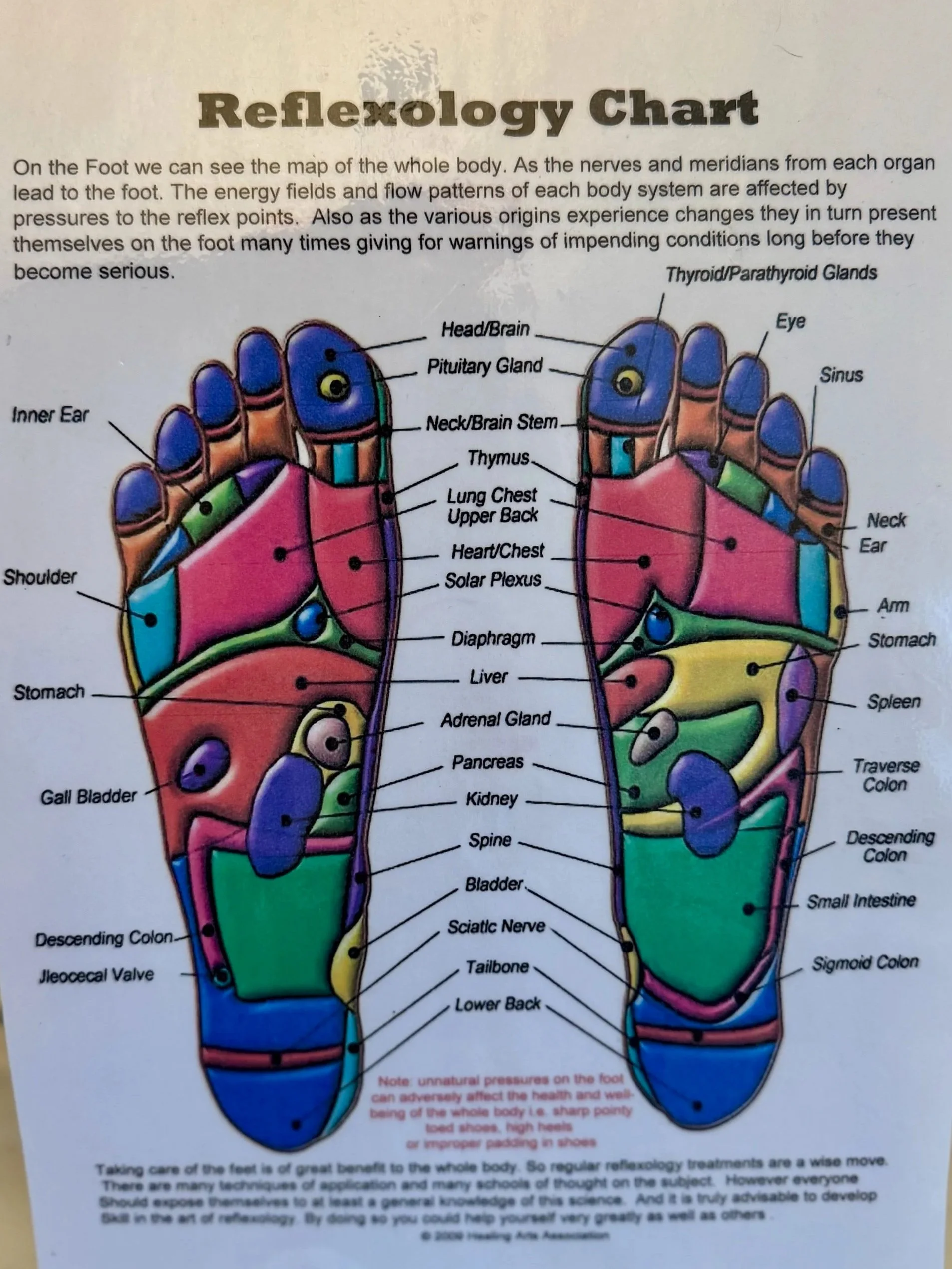 Reflexology chart of the feet showing various zones and corresponding body organs and systems, with labels for different parts of the feet and internal organs.