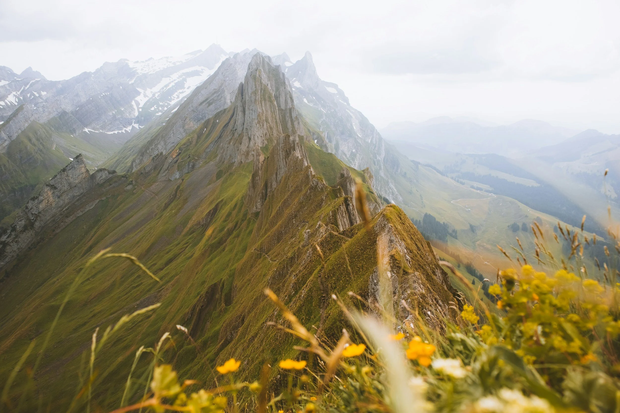 unsplash-image-D2L05AMs0f8.jpg