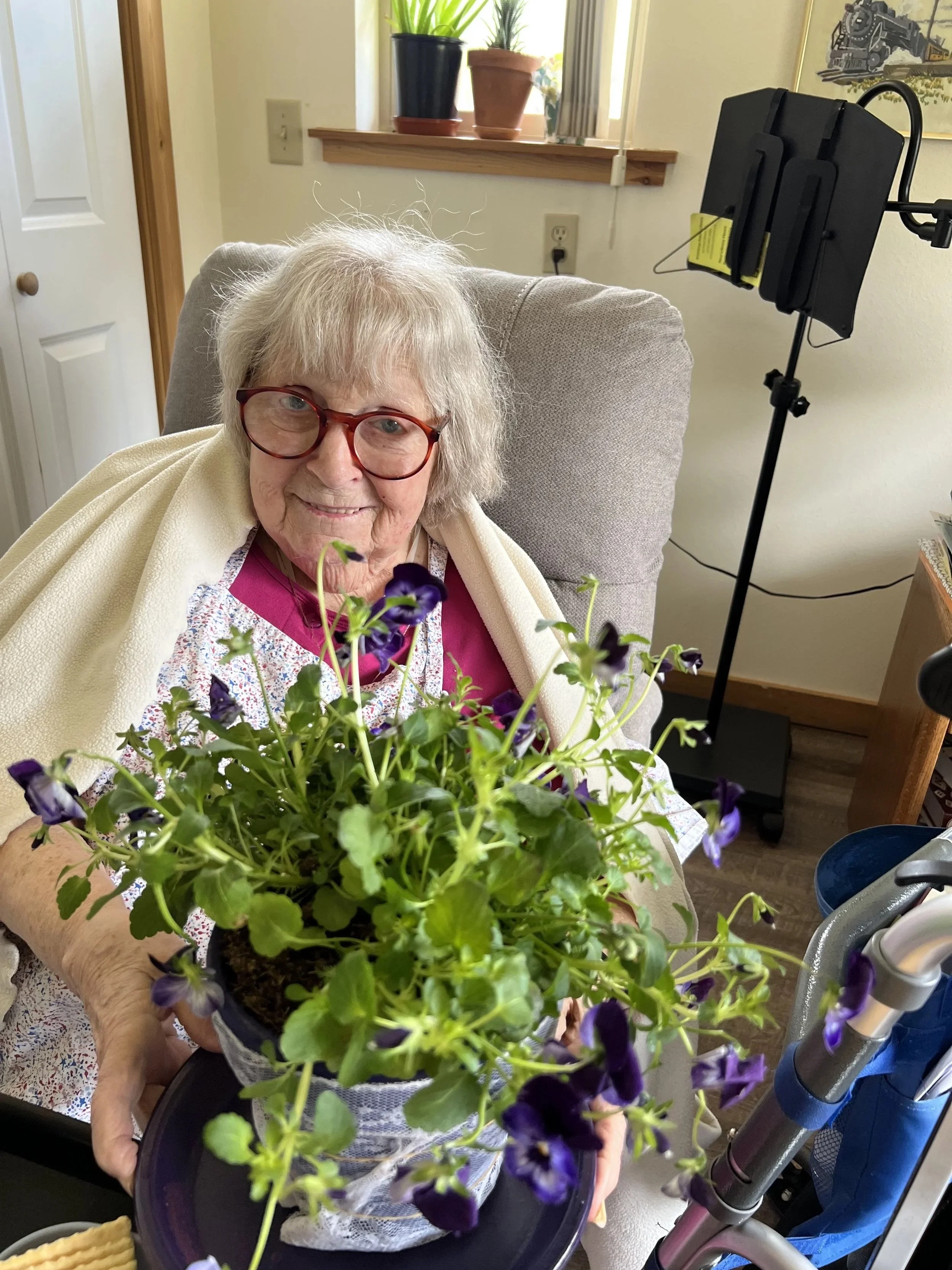 image_67533825 (1).jpeg