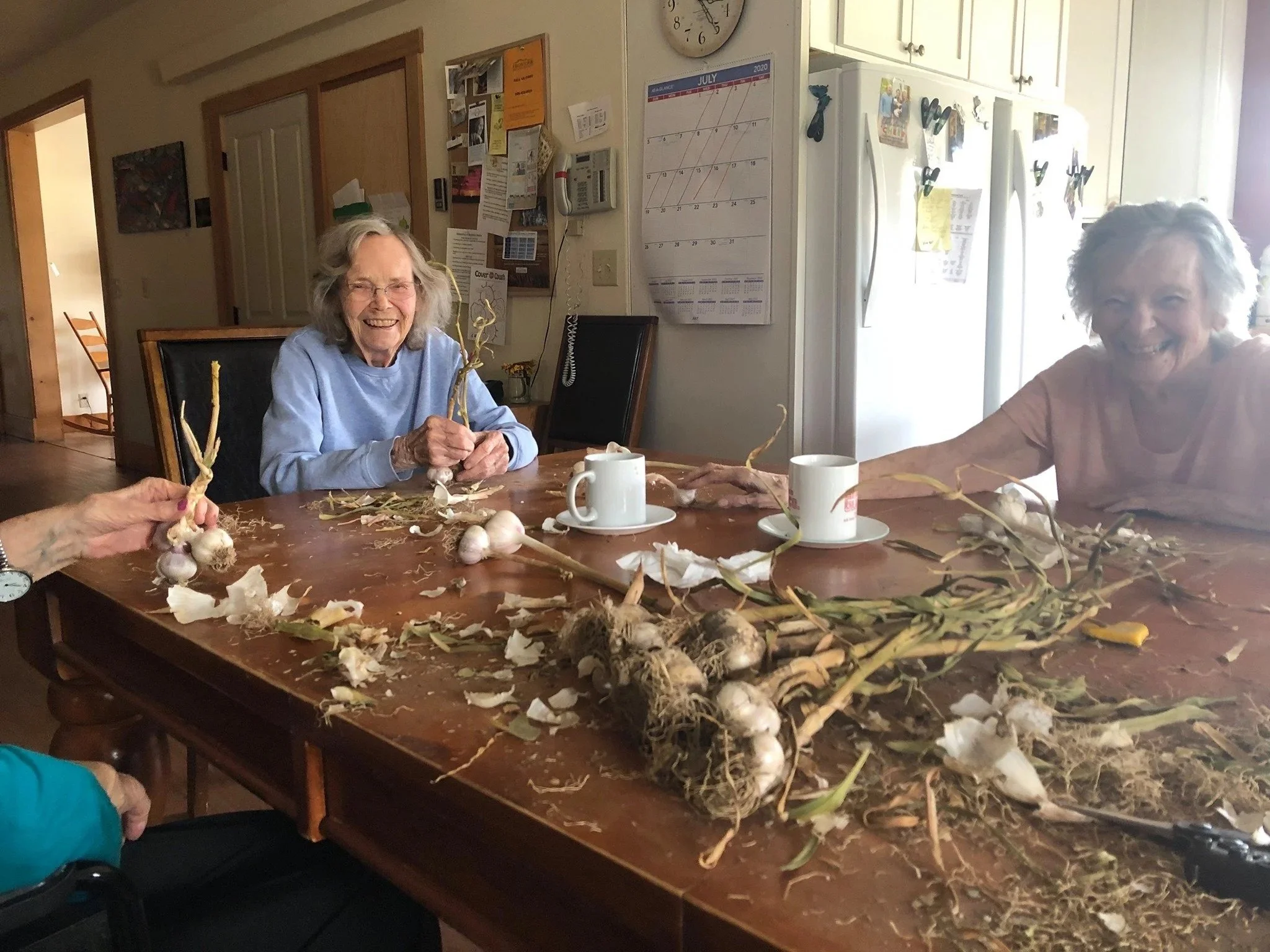 115931454_184848069723930_6549413966082392442_n (1).jpeg