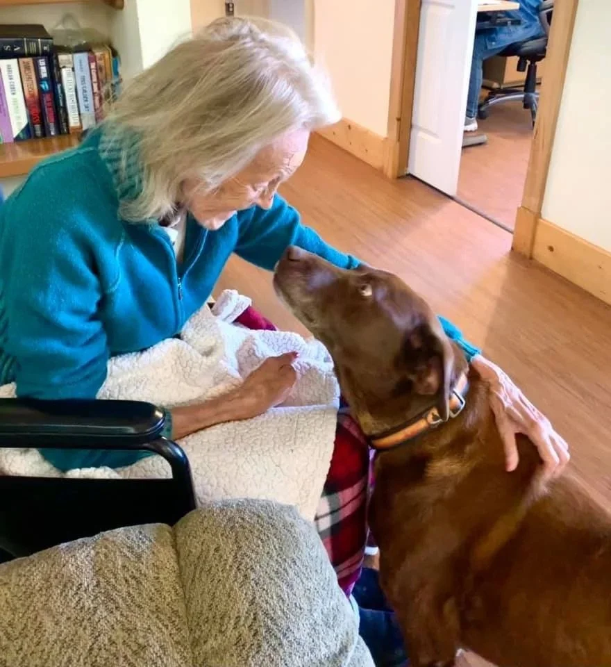 245102463_421704882704913_4234654663364944803_n (1).jpeg