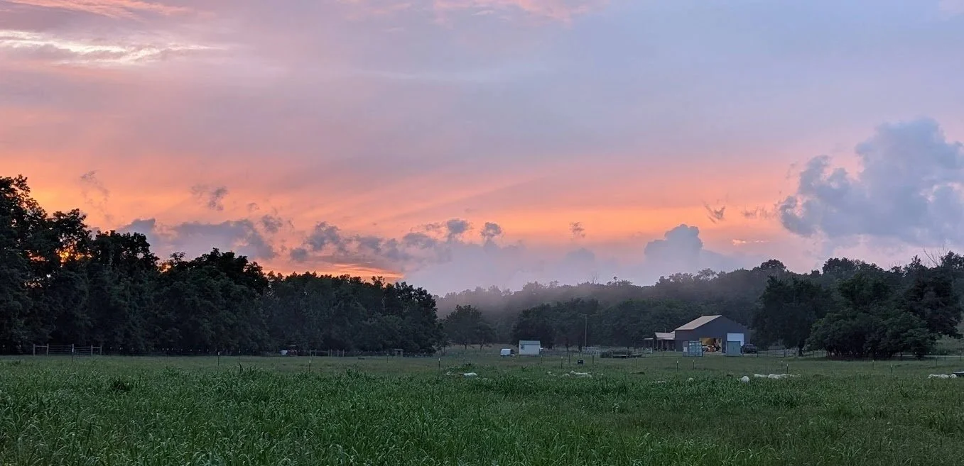 A farm at sunset with a green field in the foreground, trees and farm buildings in the background, and a colorful sky with pink, purple, and orange clouds.