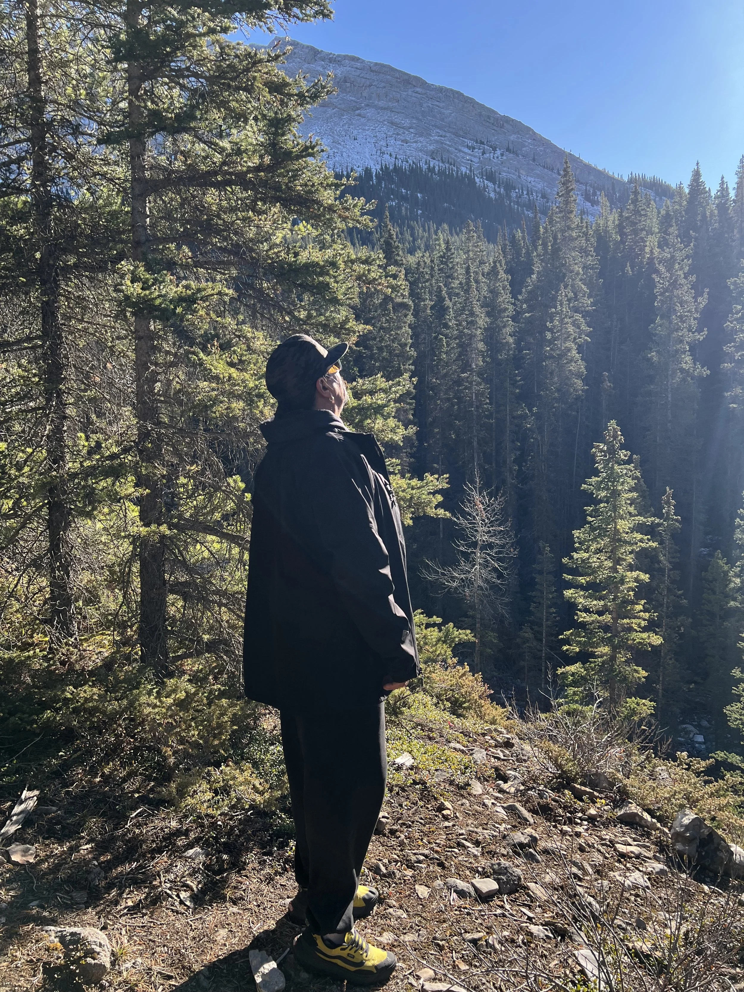 A person standing on a trail in a forest during daytime, looking up at the trees and mountains in the distance, wearing a black jacket, dark pants, a cap, and yellow hiking shoes.