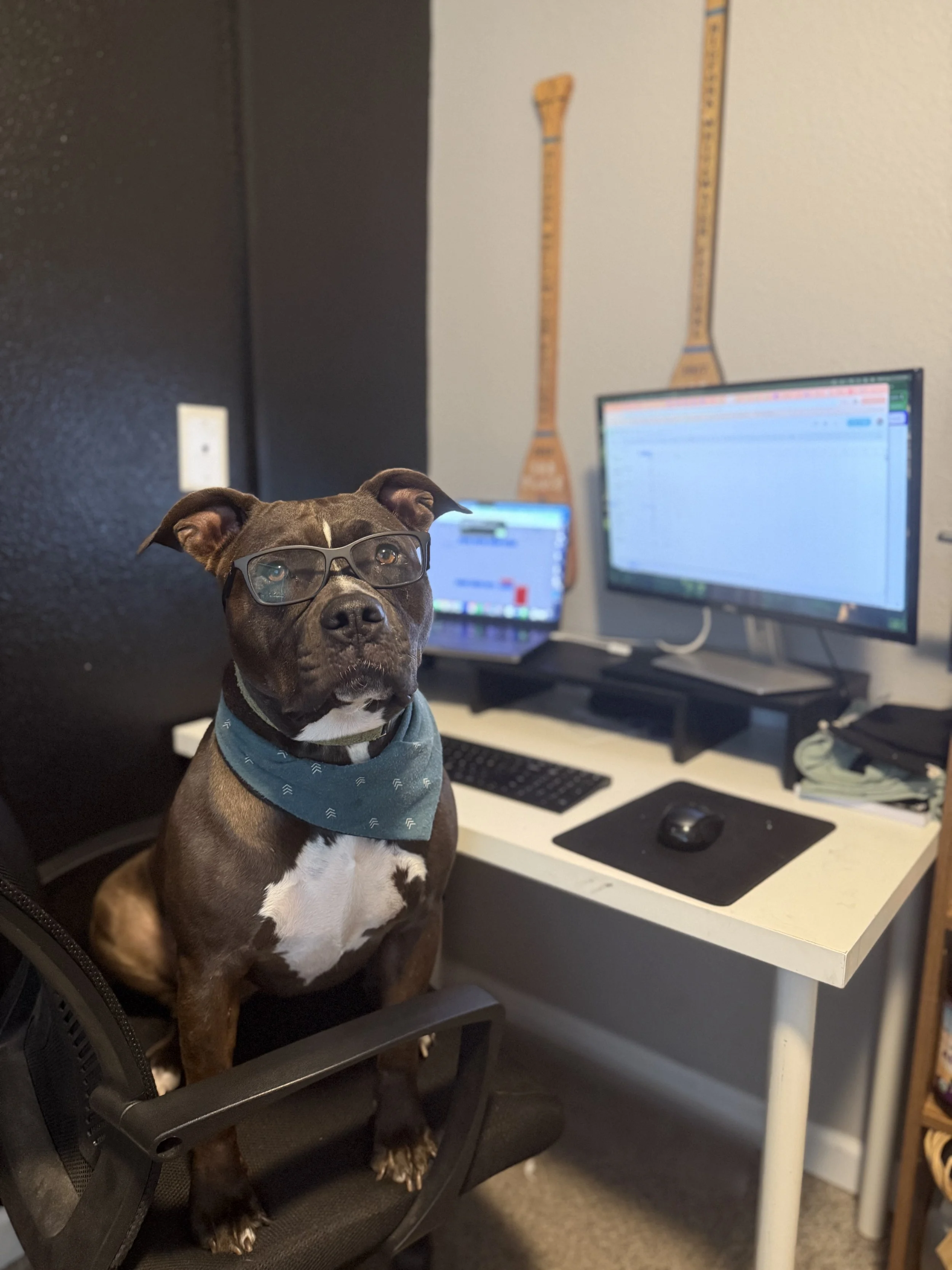 Best FREE Small Business Software That I Use Daily