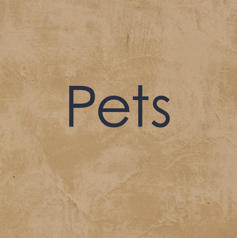 Text on a beige textured background that reads "Pets".
