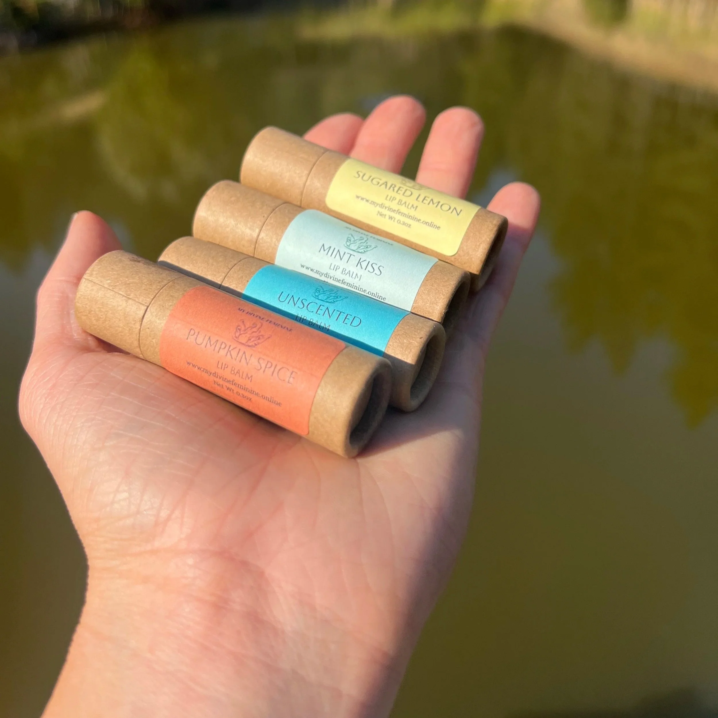 Hand holding four natural lip balm tubes labeled 'Pumpkin Spice', 'Unscented', 'Mint Kiss', and 'Sugared Lemon', outdoors with water and greenery in the background.