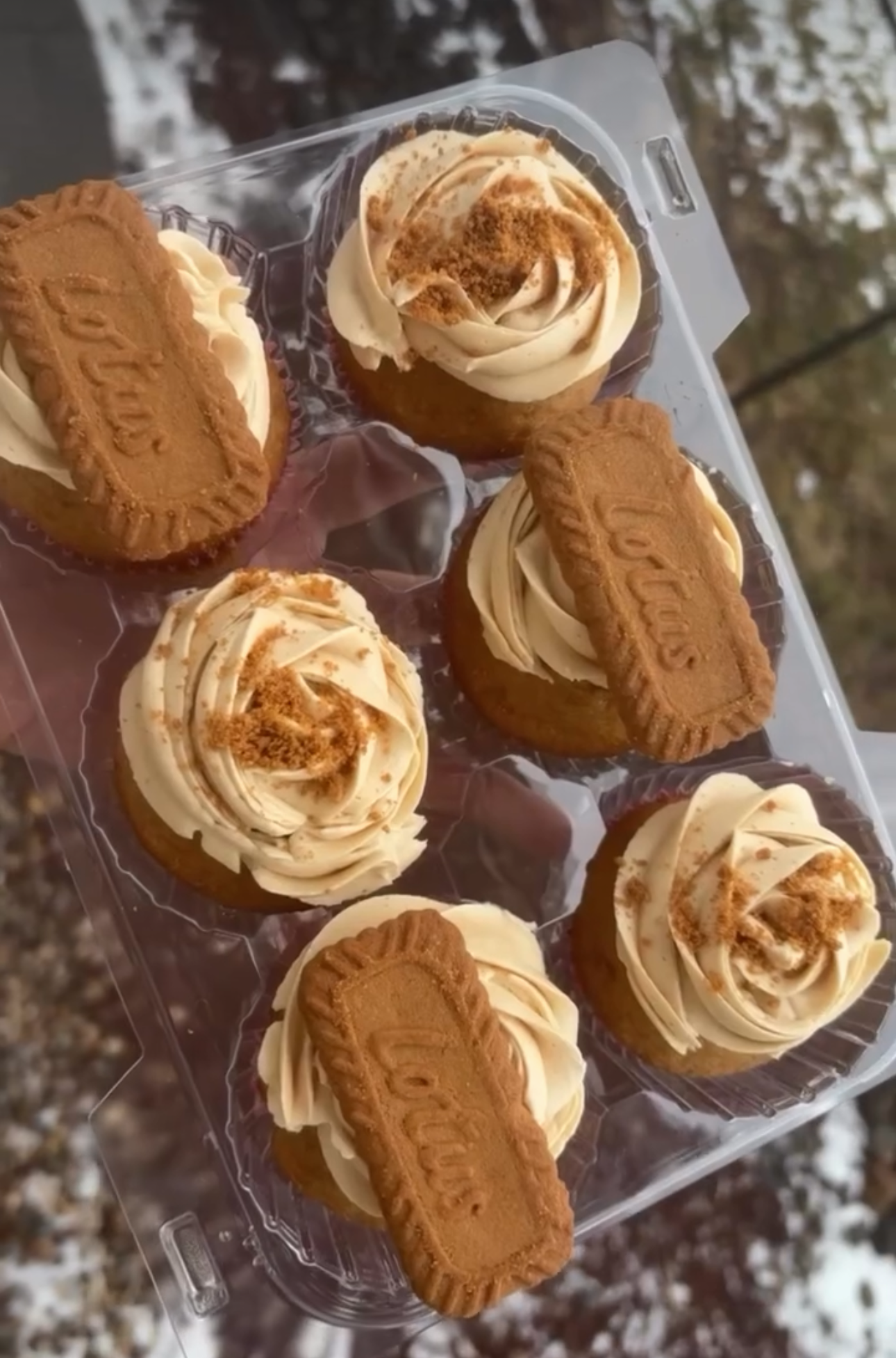 Six cupcakes with cream cheese frosting, topped with crushed graham crackers, in a plastic container.