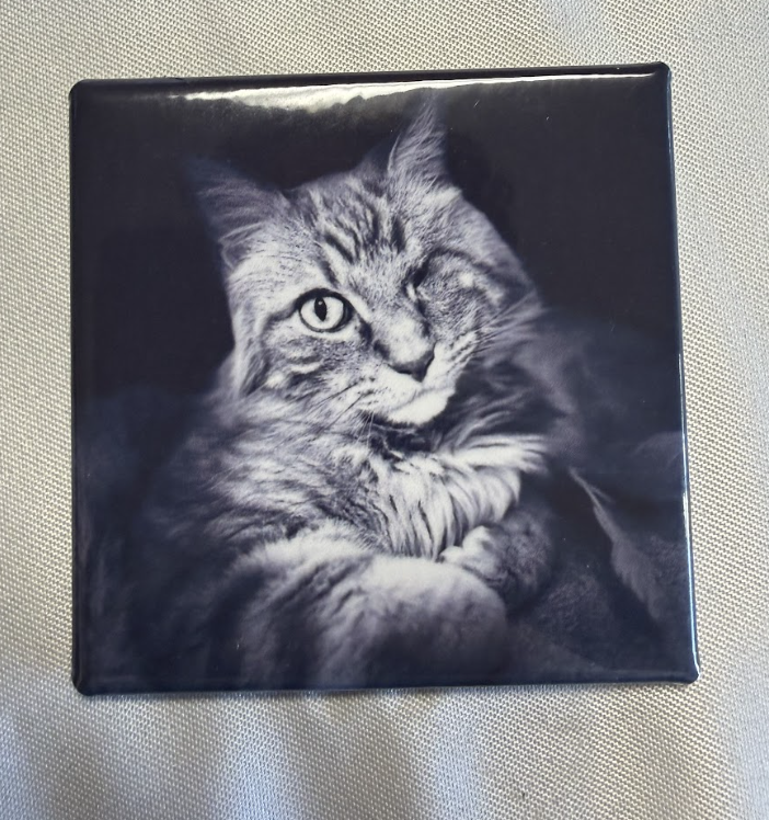 Screenshot 2026-01-21 at 6.32.45 PM.png