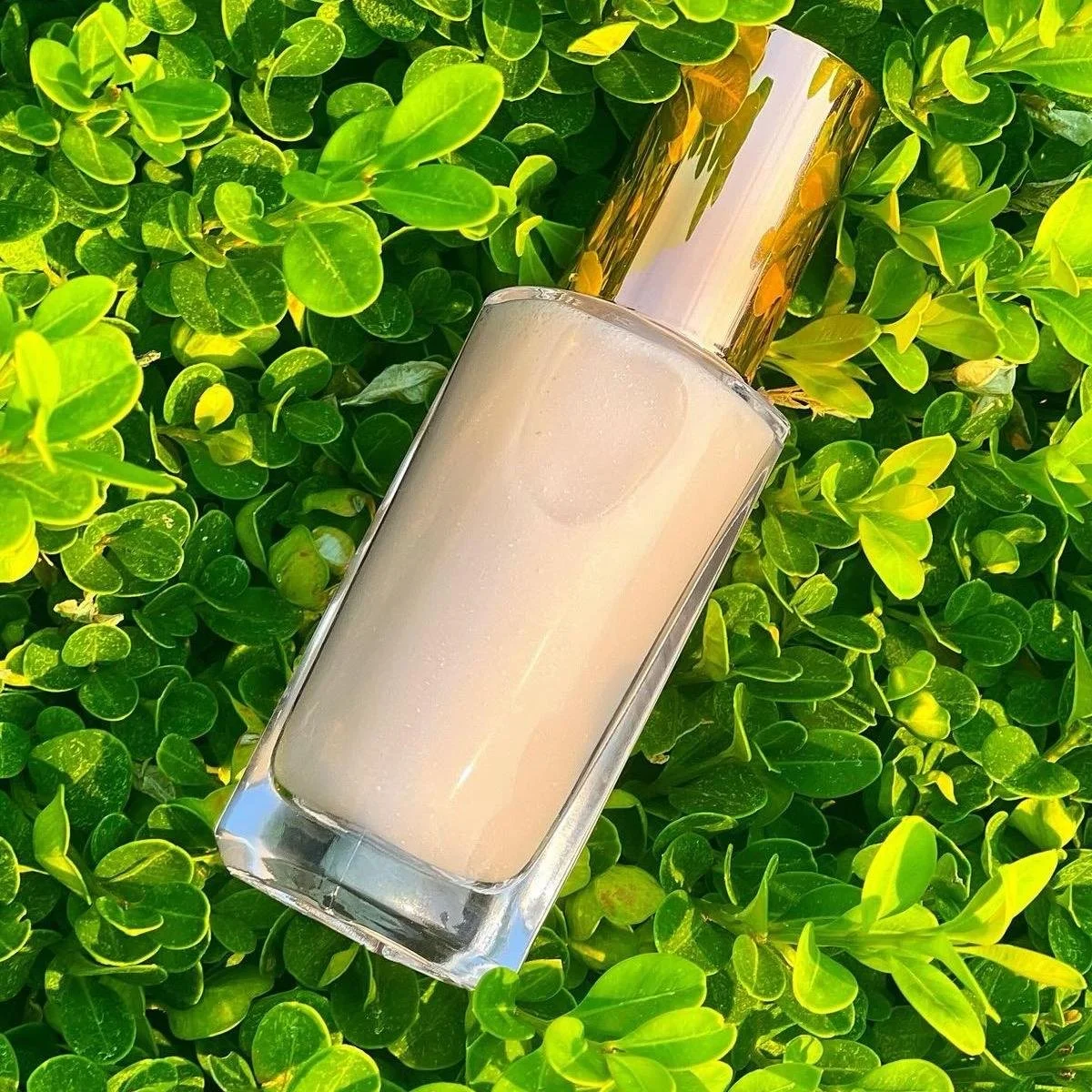 A bottle of light-colored nail polish with a gold cap resting on green foliage.