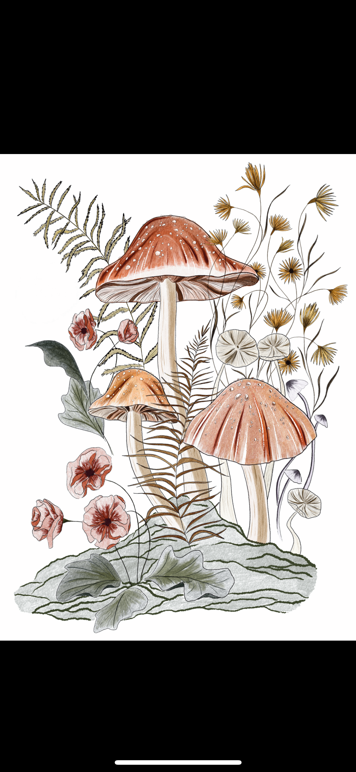Illustration of three mushrooms surrounded by various plants and flowers, including ferns, daisies, and roses, on a white background.