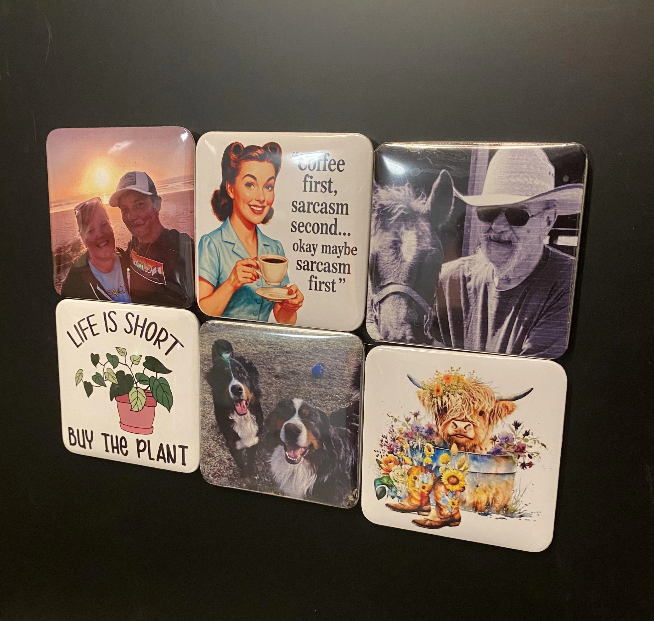 Collection of six decorative magnets featuring various images and quotes, including a sunset with two people, a vintage-style woman with coffee, a woman with a horse, a dog with a ball, a potted plant with the quote "Life is short, buy the plant," an