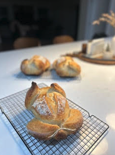 Screenshot 2025-12-02 at 10.27.26 AM.png