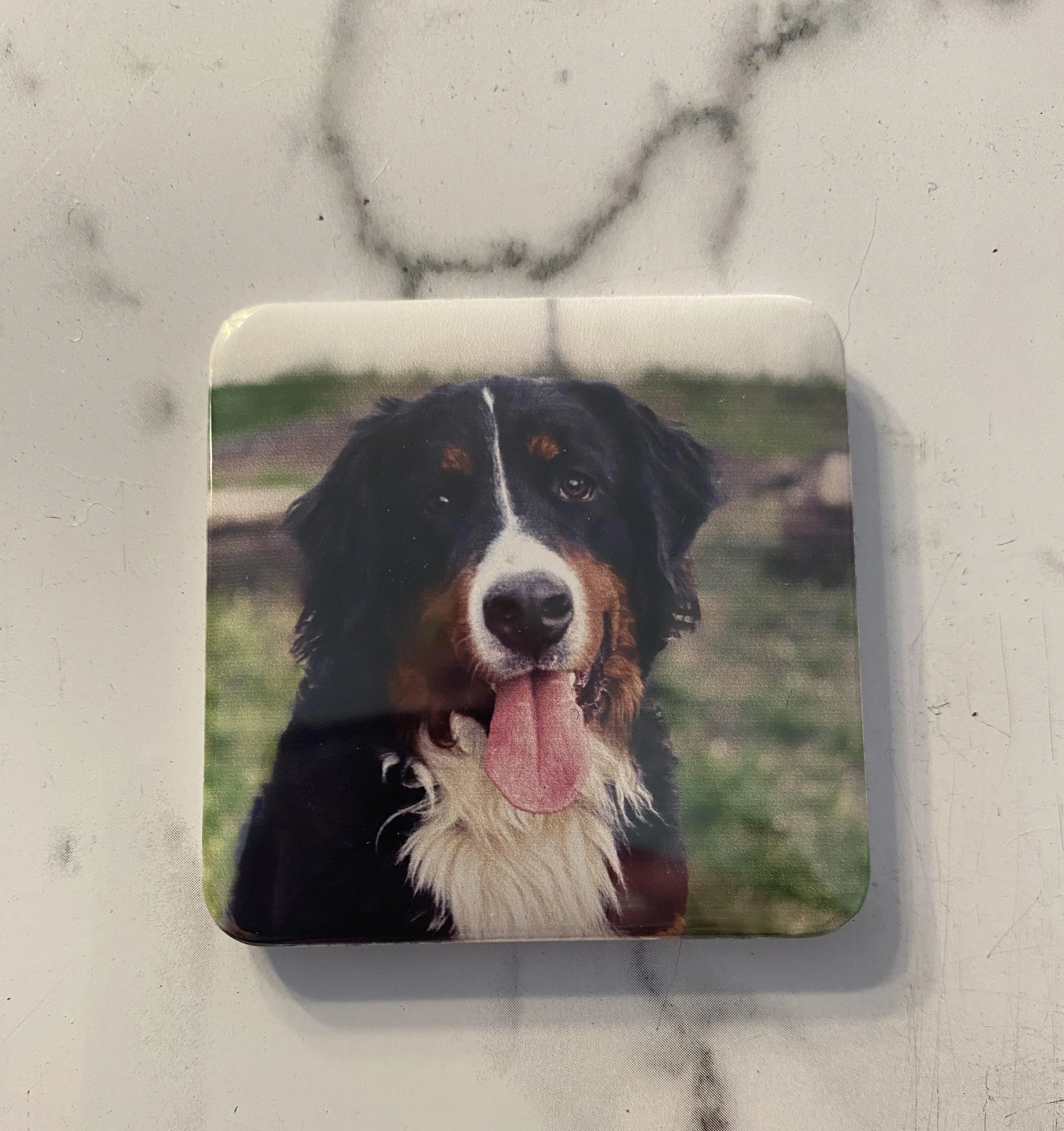 A photo of a happy dog with black, brown, and white fur, sticking out its tongue, on a square item placed on a marble surface.