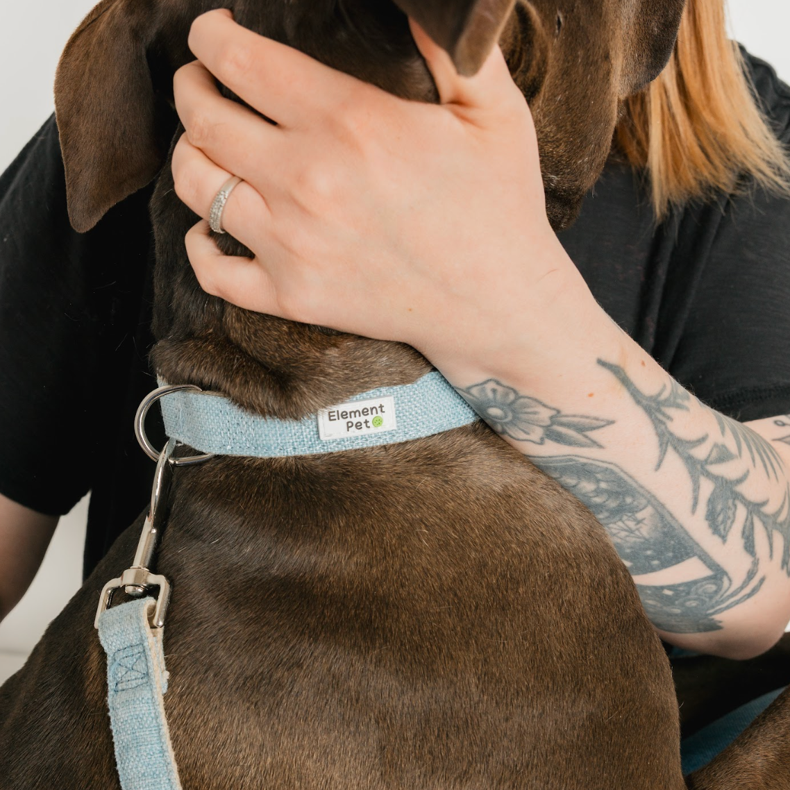 Person holding a brown dog with a light blue collar that reads 'Element Pet.' The person has a tattoo on their arm and wears a ring.