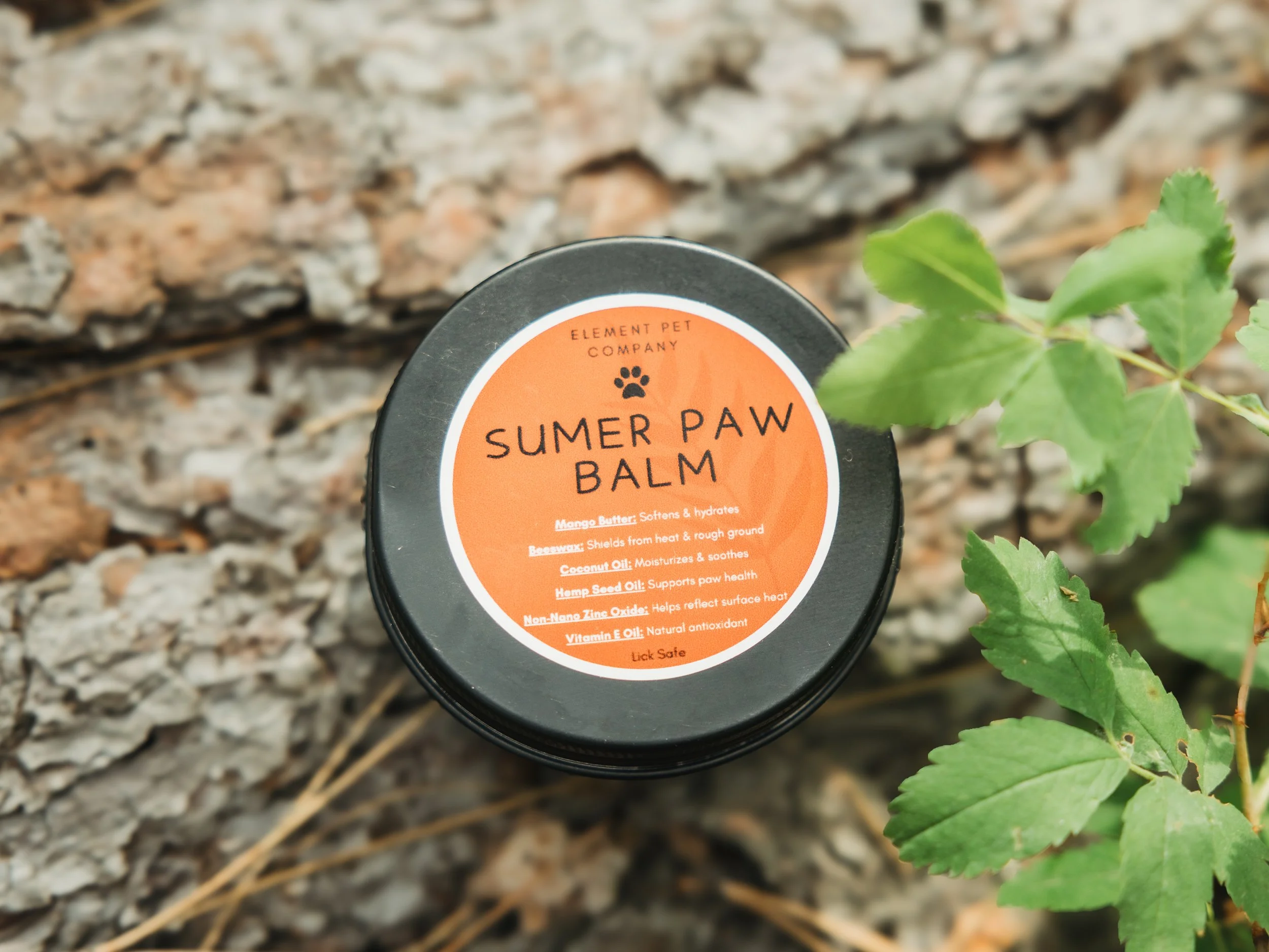 A black container of Summer Paw Balm from Element Pet Company is placed next to green leaves on a rocky ground.