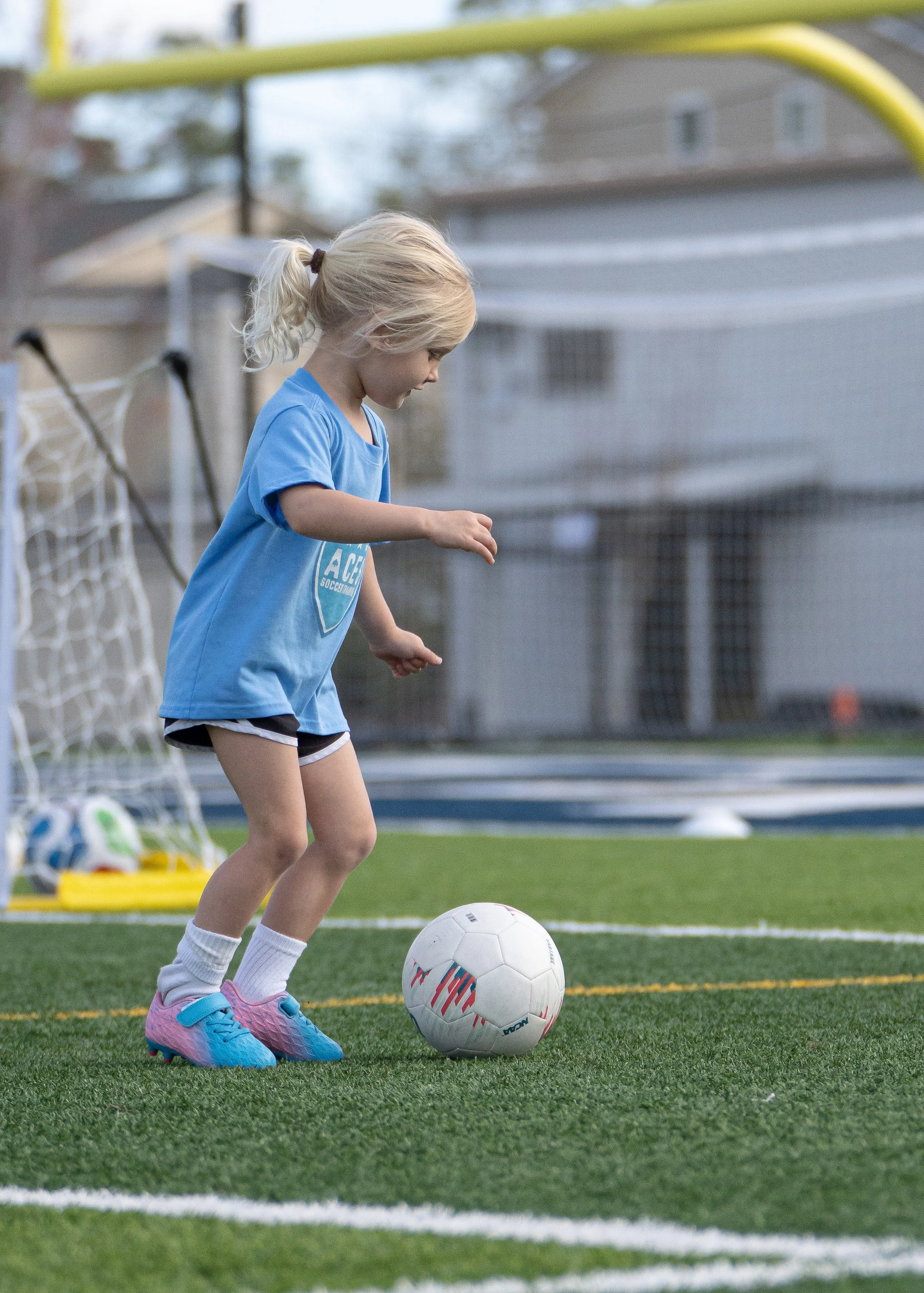 Photo Mar 07 2026, 10 12 11 AM.jpg