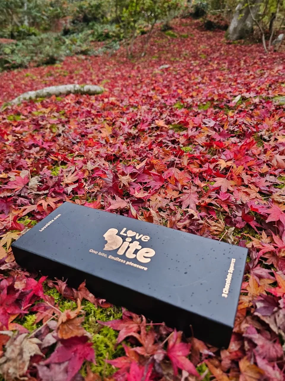 WhatsApp Image 2025-12-31 at 11.12.23.jpeg