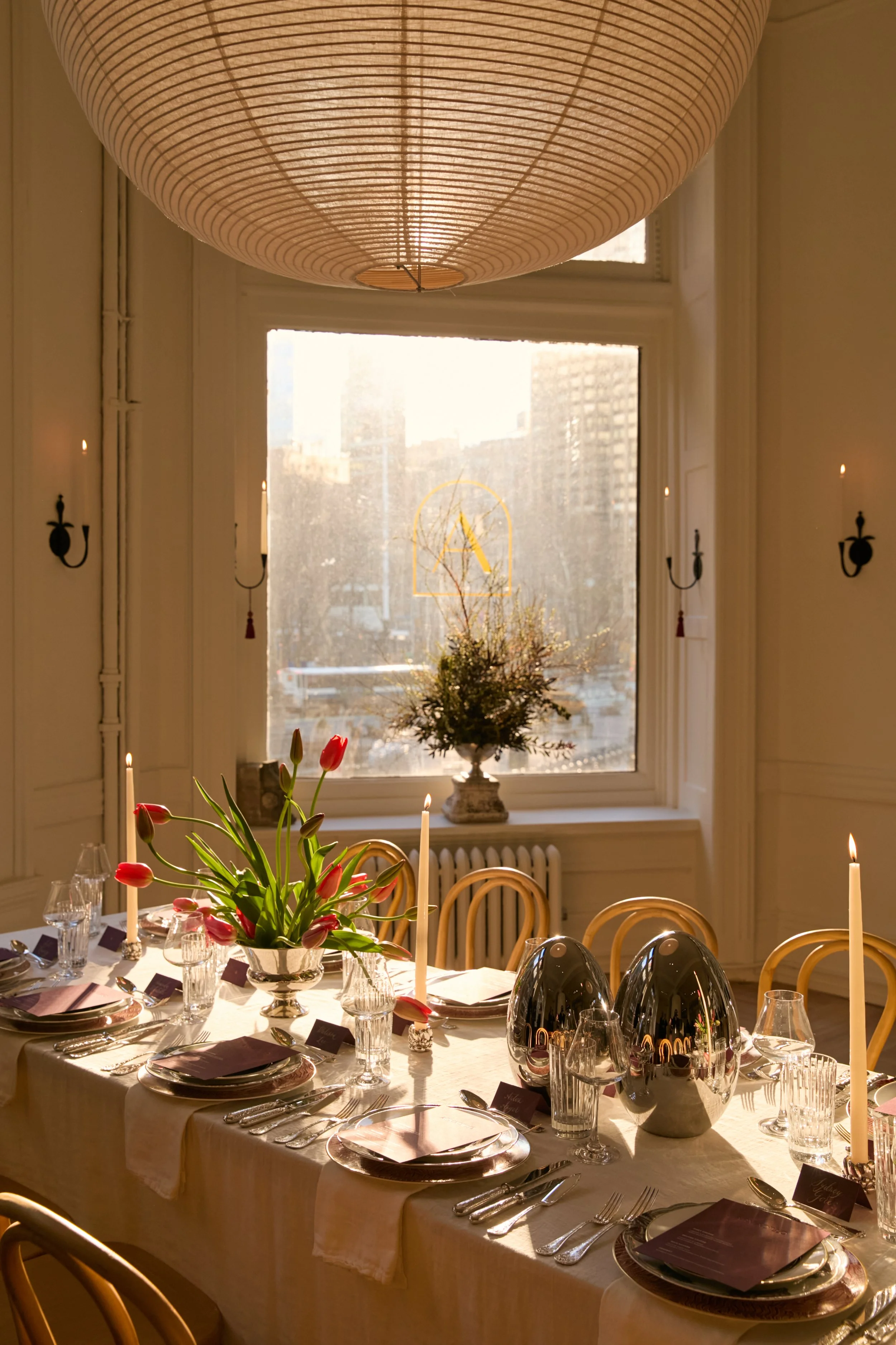 ROMILLY NEWMAN | ARMADILLO