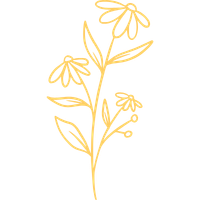 Wildflower line drawing for floral workshop section