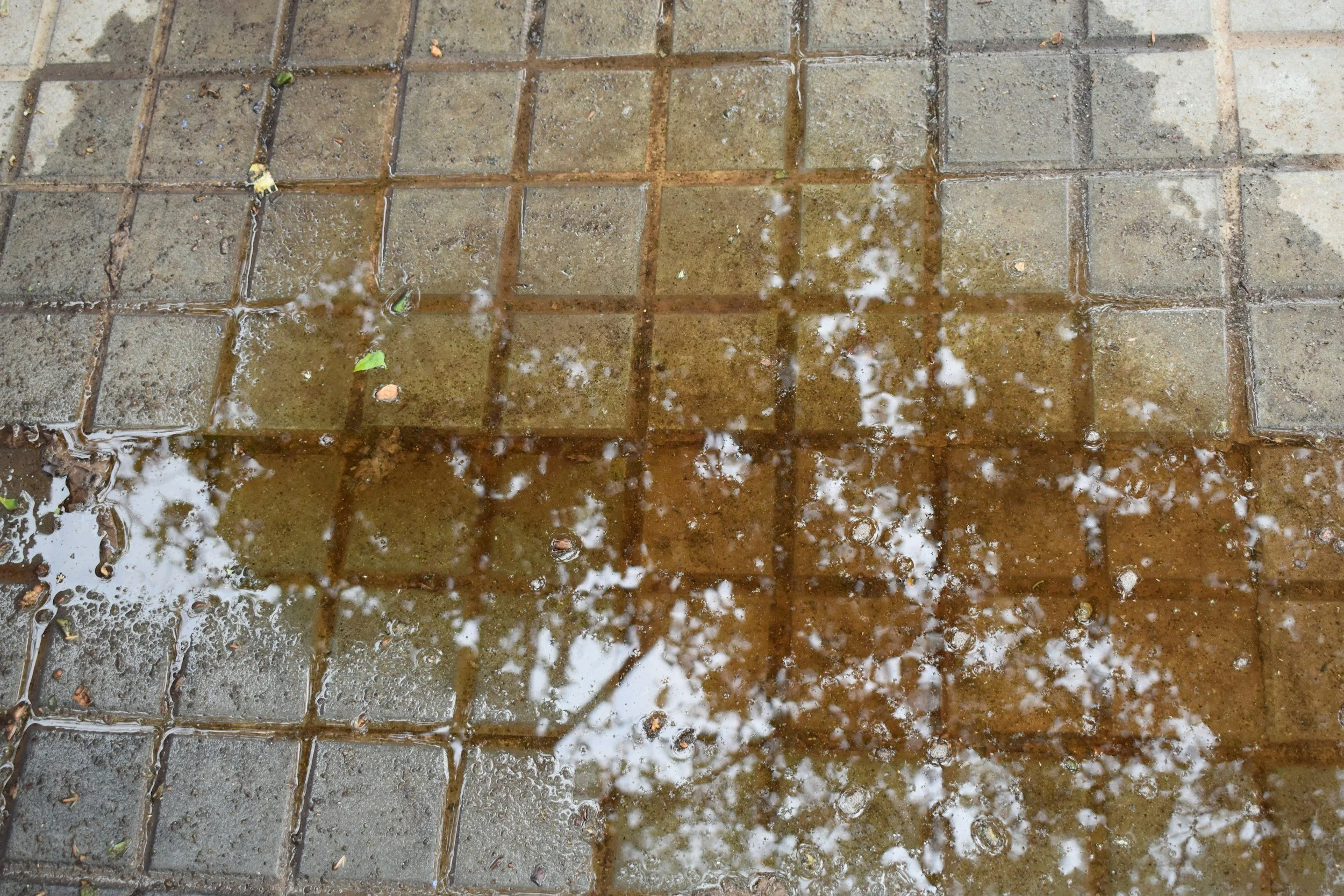 Evidence of a water leak outdoors, on patio tiles
